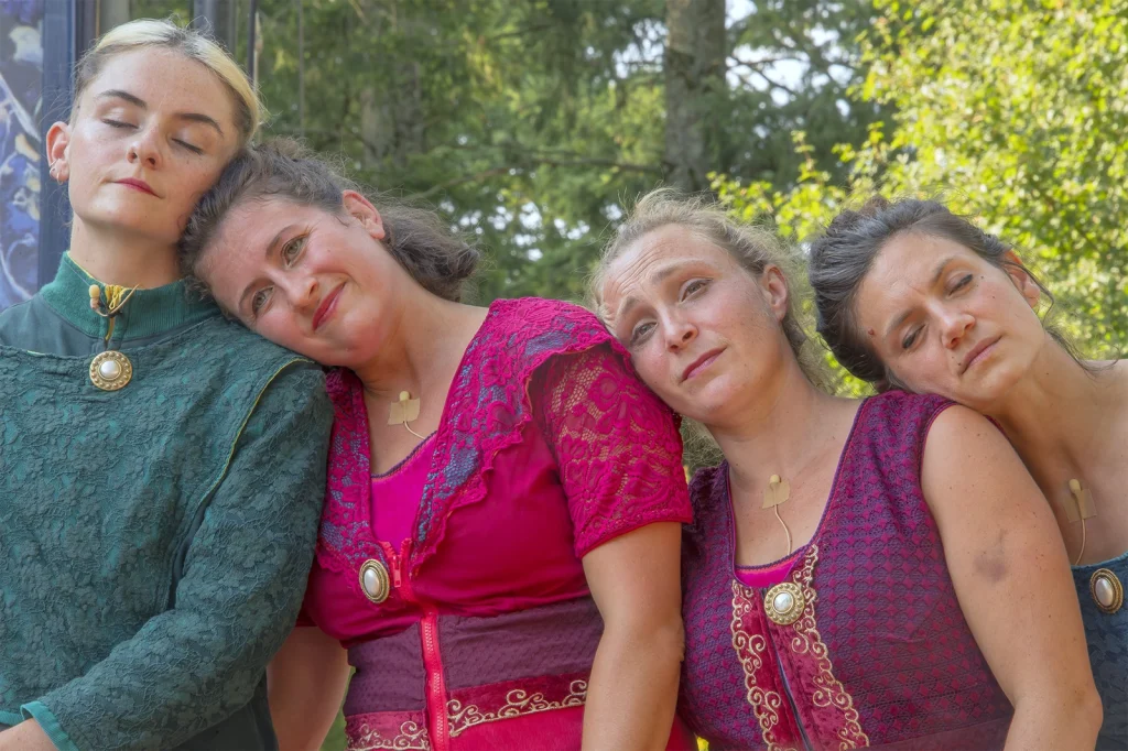 Festival des Arts de la Rue Tous Dehors à Saint Amour 2024