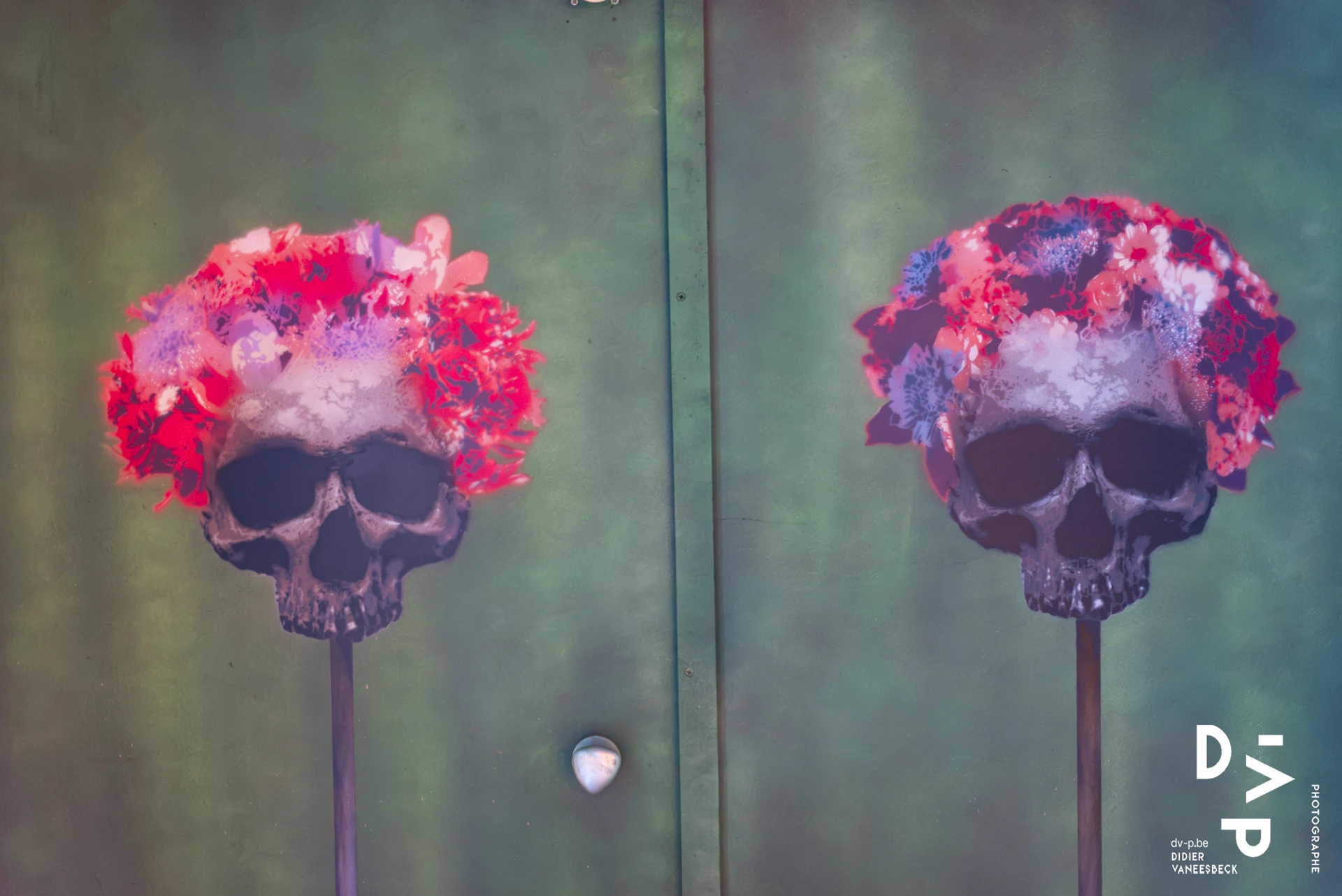 Deux crânes ornés de fleurs rouges sur fond vert – Strokar Inside, Bruxelles 2018