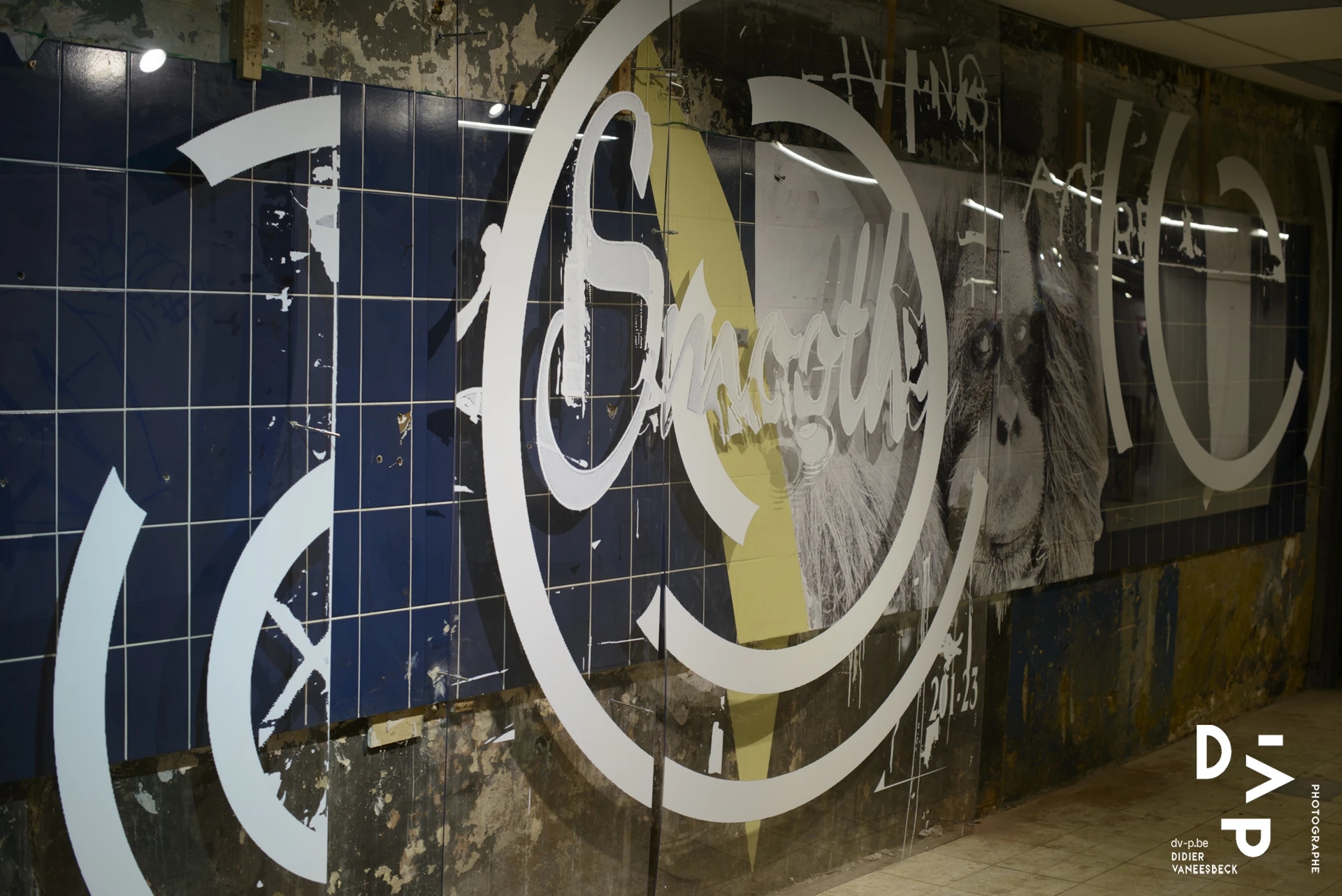 Lettrage graffiti en cercles sur un mur de carrelage bleu – Strokar Inside, Bruxelles 2018